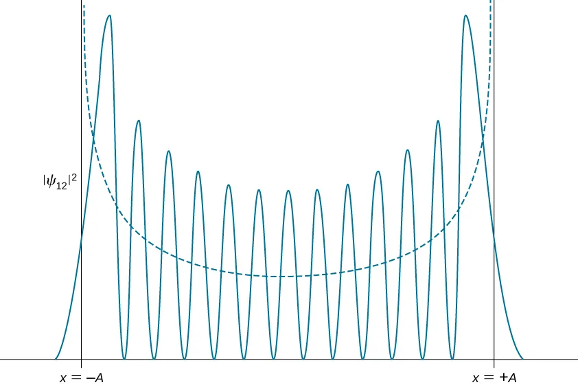 The probability density distribution amplitude squared of Psi sub 12 for the quantum harmonic oscillator is plotted as a function of x as a solid curve. The curve has 13 peaks with 12 zeros between them and goes asymptotically to zero at plus and minus infinity. The amplitude of the peaks is lowest at the center and increases wit distance from the origin. All of the peaks are between x=-A and x=+A. The dashed curve which shows the probability density distribution of a classical oscillator with the same energy is a smooth upward opening curve.