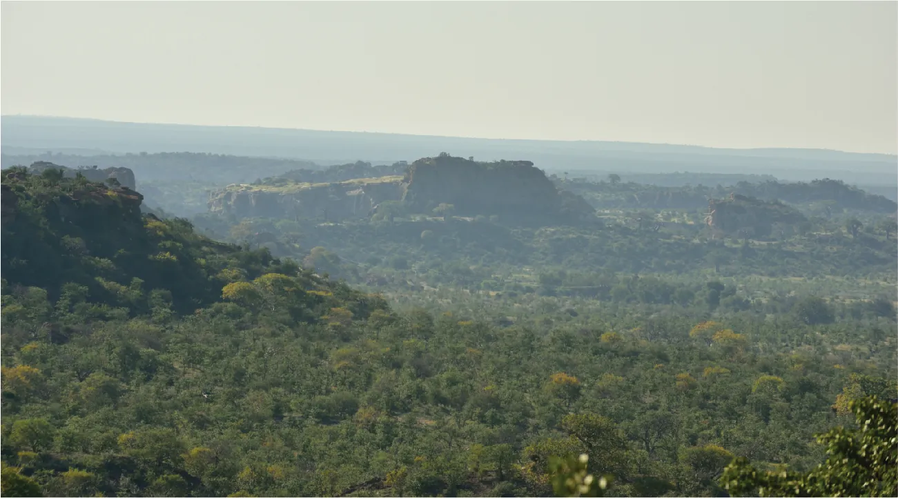 An image of a photograph is shown. In the photo green trees litter the landscape with hills on the left and in the back and the skyline in the background.