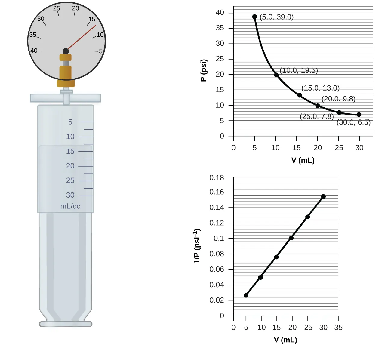 This figure contains a diagram and two graphs. The diagram shows a syringe labeled with a scale in m l or c c with multiples of 5 labeled beginning at 5 and ending at 30. The markings halfway between these measurements are also provided. Attached at the top of the syringe is a pressure gauge with a scale marked by fives from 40 on the left to 5 on the right. The gauge needle rests between 10 and 15, slightly closer to 15. The syringe plunger position indicates a volume measurement about halfway between 10 and 15 m l or c c. The first graph is labeled “V ( m L )” on the horizontal axis and “P ( p s i )” on the vertical axis. Points are labeled at 5, 10, 15, 20, and 25 m L with corresponding values of 39.0, 19.5, 13.0, 9.8, and 6.5 p s i. The points are connected with a smooth curve that is declining at a decreasing rate of change. The second graph is labeled “V ( m L )” on the horizontal axis and “1 divided by P ( p s i )” on the vertical axis. The horizontal axis is labeled at multiples of 5, beginning at zero and extending up to 35 m L. The vertical axis is labeled by multiples of 0.02, beginning at 0 and extending up to 0.18. Six points indicated by black dots on this graph are connected with a black line segment showing a positive linear trend.