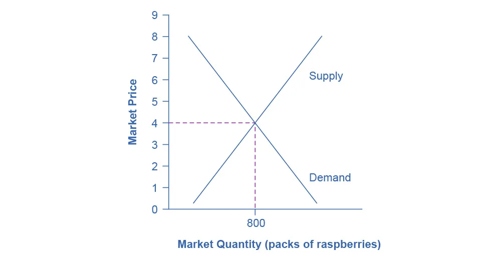 This graph illustrates the market for raspberries. There is a downward-sloping demand curve and an upward-sloping supply curve. Equilibrium is shown at a price of 4 dollars and a quantity of 800 raspberry packs.