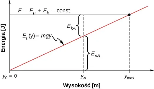 Energia wyrażona w dżulach wykreślona jako funkcja wysokości nad poziomem podłoża. Energia potencjalna E p to czerwona linia prosta przechodząca przez początek układu współrzędnych. Równanie prostej jest następujące E p równa się m g y. Wartość energii całkowitej E będąca sumą energii kinetycznej E k i potencjalnej E p jest stała, co zaprezentowano za pomocą czarnej poziomej linii. Wysokość nad poziomem gruntu, dla której linie E i E p się przecinają oznaczono jako y max. Dla danej wielkości y A, mniejszej od y max, oznaczono energię kinetyczną i potencjalną. Energię pomiędzy linią czerwoną E p i osią odciętych oznaczono E p A. Energię pomiędzy czerwoną linią E p i czarną linią E oznaczono jako E k A.