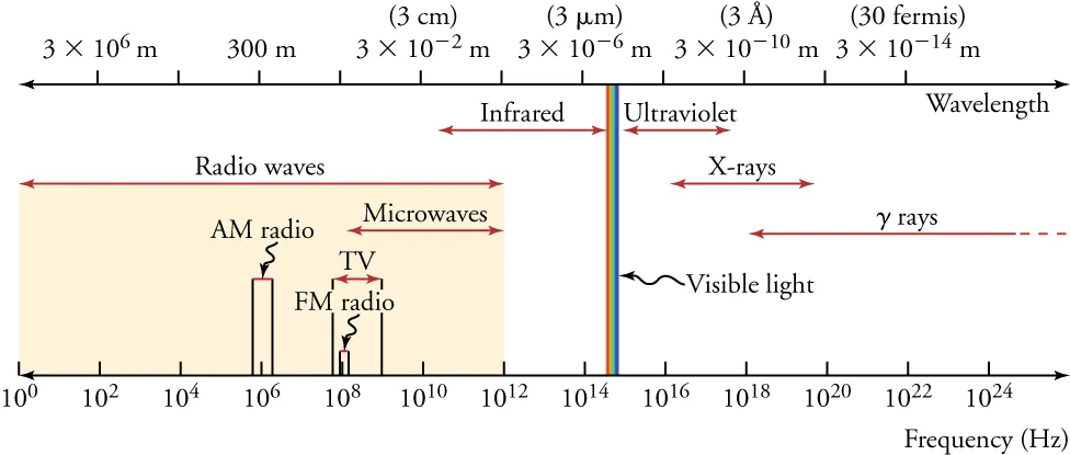 This figure shows the electromagnetic spectrum between two parallel, horizontal lines. The lower line, labeled “Frequency (Hz)”, is calibrated in increments that increase by 100-fold, starting from 10 superscript 0 at the extreme left and ending beyond 10 superscript 24 on the extreme right. The upper line, labeled “Wavelength”, is calibrated in increments that decrease by 100-fold, starting from 3 times 10 superscript 6 on the left and ending with 3 times 10 superscript minus 14 on the right. Each wavelength measure has the unit “m” after it. The various categories of the spectrum are written between the parallel lines, with a double-headed arrow showing the range of each category. Starting from the left, they are: “Radio waves”, “Infrared”, “Visible light”, “Ultraviolet”, “X rays”, and “gamma rays”. Within the range for “Radio waves” are the subcategories labeled as “AM radio”, “TV”, and “Microwaves”. Within the range for “TV” is the subcategory FM radio.