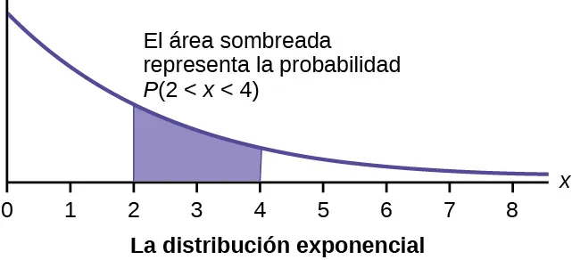 Este gráfico muestra una distribución exponencial. El gráfico tiene una pendiente hacia abajo. Comienza en un punto del eje y y se acerca al eje x en el borde derecho del gráfico. La región debajo del gráfico de x = 2 a x = 4 está sombreada para representar P(2 < x < 4).