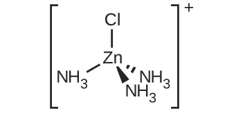 Dentro de los corchetes, un átomo central de Z n está enlazado a un átomo de C l y a tres átomos de N en grupos de subíndice 3 de N H en una disposición espacial tetraédrica. Se utilizan segmentos de líneas cortas para representar un enlace que se extiende por encima hasta el átomo de C l y hacia abajo y a la izquierda hasta el N del grupo N H subíndice 3 del átomo Z n. Se utiliza una cuña discontinua con el vértice en el átomo de Z n y el extremo ancho en el átomo de N de un grupo N H subíndice 3 para representar un enlace hacia abajo y a la derecha del átomo de Z n. El enlace final está indicado por una cuña sólida similar dirigida de nuevo hacia abajo y un poco a la derecha del centro por debajo del átomo de Z n al N de un grupo N H subíndice 3. Fuera de los corchetes se muestra un signo más en superíndice.;