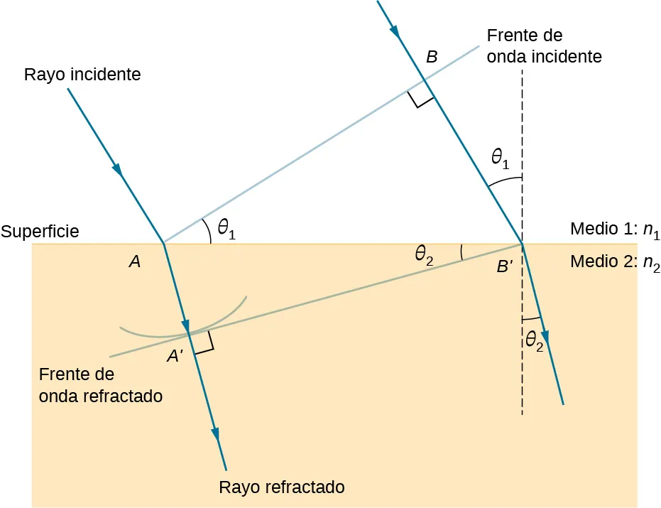 Esta figura ilustra la geometría de la refracción de los rayos y los frentes de onda. Entre el medio 1, con índice de refracción n 1, y el medio 2, con índice de refracción n 2, hay una superficie horizontal. Se muestra un rayo incidente que entra desde el medio 1 al medio 2. Golpea la superficie en el punto A y se refracta hacia la normal en el medio 2. Se traza una línea, denominada frente de onda incidente, desde el punto A que se aleja de la superficie, perpendicular al rayo incidente. El ángulo entre el frente de onda incidente y la superficie es theta 1. Se traza un segundo rayo incidente paralelo al primero. Este rayo intersecta el frente de onda incidente en un punto marcado como B y golpea la superficie en un punto marcado como B prima. Se traza una línea discontinua perpendicular a la superficie en B prima. El ángulo entre esta recta perpendicular y la segunda semirrecta es también theta uno. El triángulo formado por A, B y B prima es un triángulo rectángulo con ángulo theta uno en A y un ángulo recto en B. Los rayos refractados en A y B prima se doblan hacia abajo, hacia las perpendiculares descendentes a la superficie, formando un ángulo theta dos con la dirección vertical. Se dibuja el frente de onda refractada que es perpendicular a los rayos refractados y que choca con la superficie en B prima. Este frente de onda choca con la refracción del primer rayo incidente en un punto marcado como A prima y forma un ángulo de theta dos con la superficie.