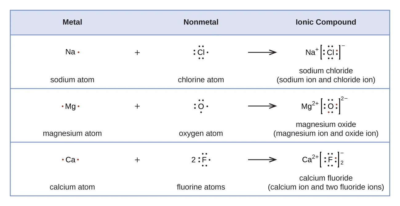 A table is shown with four rows. The header row reads “Metal,” “Nonmetal,” and “Ionic Compound.” The second row shows the Lewis structures of a reaction. A sodium symbol with one dot, a plus sign, and a chlorine symbol with seven dots lie to the left of a right-facing arrow. To the right of the arrow a sodium symbol with a superscripted plus sign is drawn next to a chlorine symbol with eight dots surrounded by brackets with a superscripted negative sign. One of the dots on the C l atom is red. The terms “sodium atom,” “chlorine atom,” and “sodium chloride ( sodium ion and chloride ion )” are written under the reaction. The third row shows the Lewis structures of a reaction. A magnesium symbol with two red dots, a plus sign, and an oxygen symbol with six dots lie to the left of a right-facing arrow. To the right of the arrow a magnesium symbol with a superscripted two and a plus sign is drawn next to an oxygen symbol with eight dots, two of which are red, surrounded by brackets with a superscripted two a and a negative sign. The terms “magnesium atom,” “oxygen atom,” and “magnesium oxide ( magnesium ion and oxide ion )” are written under the reaction. The fourth row shows the Lewis structures of a reaction. A calcium symbol with two red dots, a plus sign, and a fluorine symbol with a coefficient of two and seven dots lie to the left of a right-facing arrow. To the right of the arrow a calcium symbol with a superscripted two and a plus sign is drawn next to a fluorine symbol with eight dots, one of which is red, surrounded by brackets with a superscripted negative sign and a subscripted two. The terms “calcium atom,” “fluorine atoms,” and “calcium fluoride ( calcium ion and two fluoride ions )” are written under the reaction.