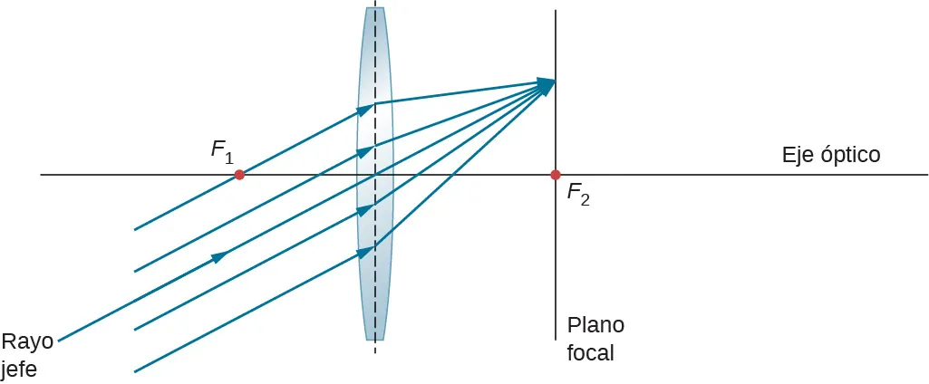 La figura muestra rayos que son paralelos entre sí, pero no al eje óptico, que entran en una lente biconvexa y convergen por el otro lado en un punto del plano focal. La sección transversal del plano focal se muestra como una línea que es perpendicular al eje óptico y lo intersecta en el punto focal.