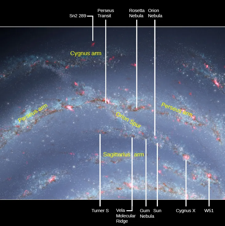 The Sun and the Orion Spur. Portions of three spiral arms of the Milky Way are shown in this illustration. The “Cygnus arm” at top, the “Perseus arm” at center and the “Sagittarius arm” at bottom. The “Orion spur” is a stream of stars and gas runs from the Cygnus arm diagonally downward to the right through the Perseus arm and on to the Sagittarius arm. The Sun is located in the portion of the spur between the Perseus and Sagittarius arms. Objects of interest are indicated with arrows from above and below the figure. At top, from left to right are: “Sn2 289”, “Perseus transit”, “Rosetta nebula” and the “Orion nebula”. At bottom, from left to right are: “Turner S”, “Vela molecular ridge”, “Gum nebula”, “Sun”, “Cygnus X-1” and “W51”.