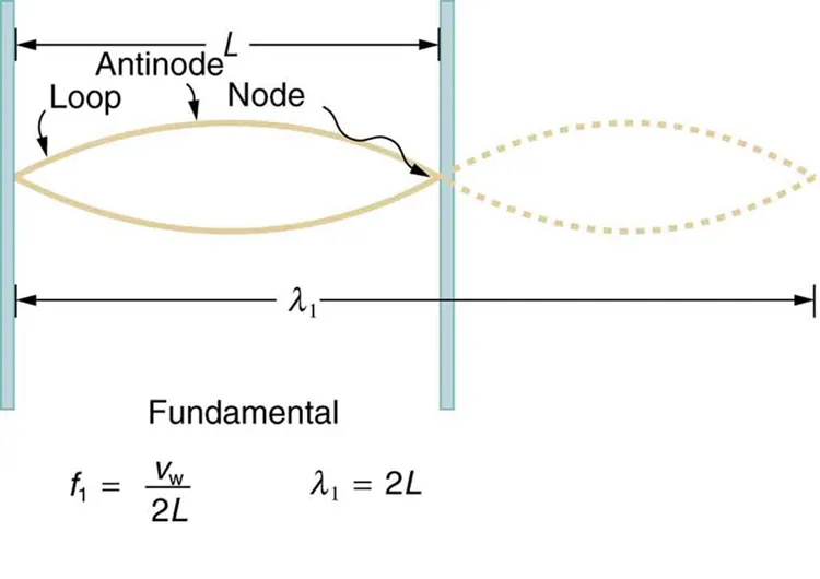 The graph shows a wave with wavelength lambda one equal to L, which has two loops. There three nodes and two antinodes in the figure. The length of one loop is L.