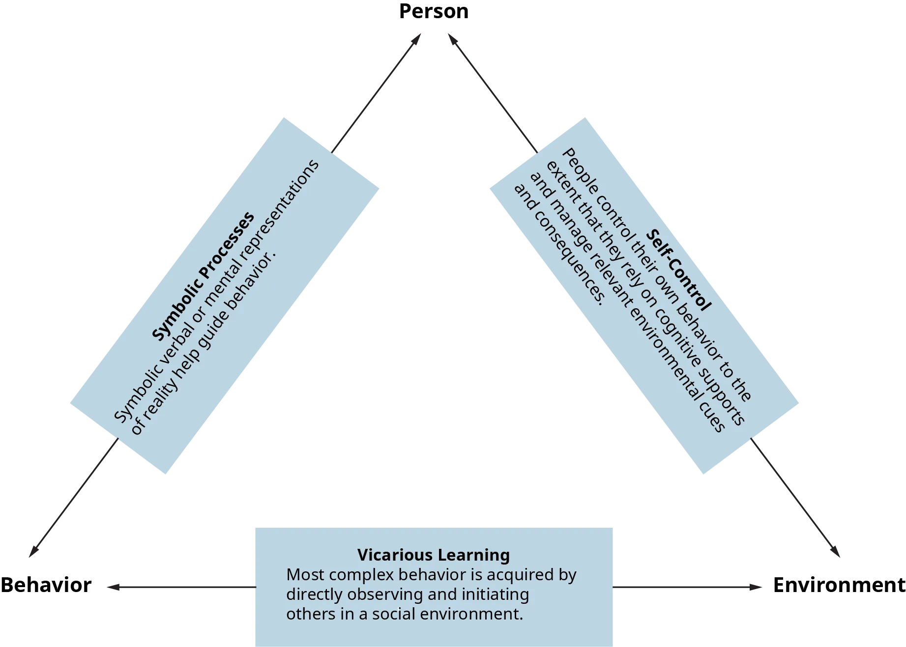 A diagram shows the basic model of social learning.