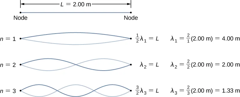 Three figures of a string of length L=2 m are shown. Each has two waves. The first one has 1 node. It is labeled half lambda 1 = L, lambda 1 = 2 by 1 times 2 m = 4 m. The second figure has 2 nodes. It is labeled lambda 2 = L, lambda 2 = 2 by 2 times 2 m = 2 m. The third figure has three nodes. It is labeled 3 by 2 times lambda 3 = L, lambda 3 = 2 by 3 times 2 m = 1.33 m.