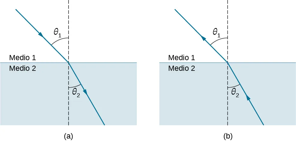 La figura es una ilustración de la refracción de la luz en una interfase entre dos medios. En ambas figuras, el medio 1 está por encima del medio 2 y la interfase es horizontal y se dibuja un rayo que se refracta en la interfase. Se traza una línea perpendicular a la interfase en el punto de incidencia. En la figura a, la luz incide desde arriba, pasando del medio 1 al medio 2. En el medio 1, el rayo que incide forma un ángulo theta uno con la perpendicular y el rayo refractado en el medio 2 forma un ángulo menor theta dos con la perpendicular. En la figura b, la luz incide desde abajo, pasando del medio 2 al medio 1. En el medio 2, el rayo incidente forma un ángulo theta dos con la perpendicular y el rayo refractado en el medio 1 forma un ángulo mayor theta uno con la perpendicular. Theta uno en la figura a es igual al ángulo theta uno en la figura b. Asimismo, theta dos en la figura a es igual al ángulo theta dos en la figura b.