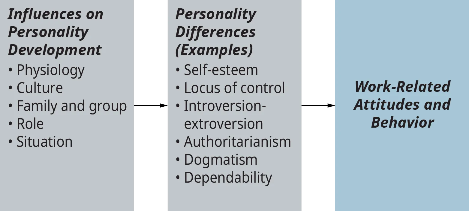 A diagram lists the influences on personality development and the personality differences that lead to work-related attitudes and behavior.