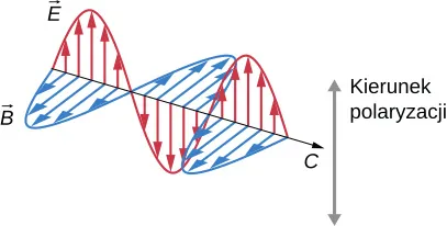 Pokazana jest część fali elektromagnetycznej propagującej się z prędkością c. Prostopadłe do kierunku propagacji są dwa parametry wektorowe E i B. Wektory E oznaczają kierunek i natężenie pola elektrycznego. Ich końce dotykają zarysu propagującej się fali w kształcie sinusoidy. Wektory B też tworzą sinusoidę, lecz w płaszczyźnie prostopadłej do wektorów E. Wektory E i B są w zgodnej fazie. Kierunek polaryzacji wskazują wektory E.