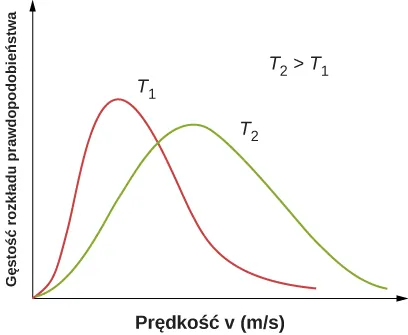 Dwa wykresy przedstawiające gęstość rozkładu prawdopodobieństwa w funkcji prędkości v, podanej w m/s dla dwóch różnych temperatur: T 1 i T 2, narysowane w tym samym układzie współrzędnych. Temperatura T 2 jest wyższa niż T 1. Rozkład dla T2 jest bardziej spłaszczony, maksymalna wartość gęstości prawdopodobieństwa jest mniejsza niż dla T 1 i osiągana jest dla większej prędkości w porównaniu z wykresem dla T 1.