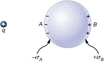 Rysunek przedstawia kulę i ładunek dodatni q leżący w pewnej odległości od niej. Strona kuli zwrócona do q jest oznaczona A, a strona przeciwna B. Pokazane są znaki minus i plus na wewnętrznej powierzchni sfery odpowiednio po jej stronie A i B. Oznaczone są jako minus sigma A i plus sigma B. 