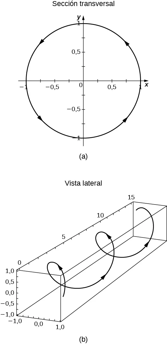 Esta figura tiene dos gráficos. El primer gráfico está marcado como "sección transversal" y es un círculo centrado en el origen con radio 1. Tiene una orientación contraria a las agujas del reloj. El gráfico de la sección está marcado como "vista lateral" y es una hélice tridimensional. La hélice tiene una orientación contraria a las agujas del reloj.