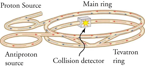 The image shows a long circulating tube, shaped like a pair of parallel rings, one pair of rings being much smaller than the other. One end of the tube, extending out from one of the small rings, is labeled proton source; the other end of the tube, near the other small ring, is labeled antiproton source. There are arrows representing the direction of particle travel, with blue arrows pointing toward the center of the tube from the proton source, and red arrows pointing toward the center of the tube from the antiproton source. The arrows meet at a box in the center of the tube structure. The box is labeled ‘Collision detector’ and has an explosion symbol on it.