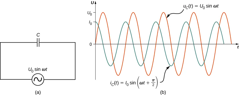 Rysunek a przedstawia obwód ze źródłem napięcia AC połączony z kondensatorem. Źródło oznaczone jest V0 sin omega t. Rysunek b przedstawia sinusoidalny wykres napięcia AC i natężenia prądu w funkcji czasu, w tym samym układzie współrzędnych. Napięcie ma większą amplitudę niż natężenie prądu, a jego wartość maksymalna wynosi V0. Maksymalna wartość natężenia prądu oznaczona jest I0. Obie krzywe mają ten sam okres ale są przesunięte w fazie o pi/2. Krzywa napięcia jest opisana V ze znakiem C nawias t nawias równe V0 sinus omega t. Krzywa natężenia prądu oznaczona jest i ze znakiem C nawias t nawias równa jet l0 sinus nawias omega t plus pi przez 2 nawias.