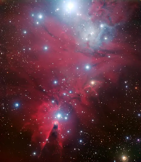 Image of the Young Cluster N G C 2264. This youthful cluster derives its name from the shape outlined by its brightest stars. The “Christmas Tree” is upside down in this image. The brightest star at the top of the frame is the base of the tree. The top of the tree is the star above the dark v-shaped lane in the nebula just left of the center at the bottom of the image.