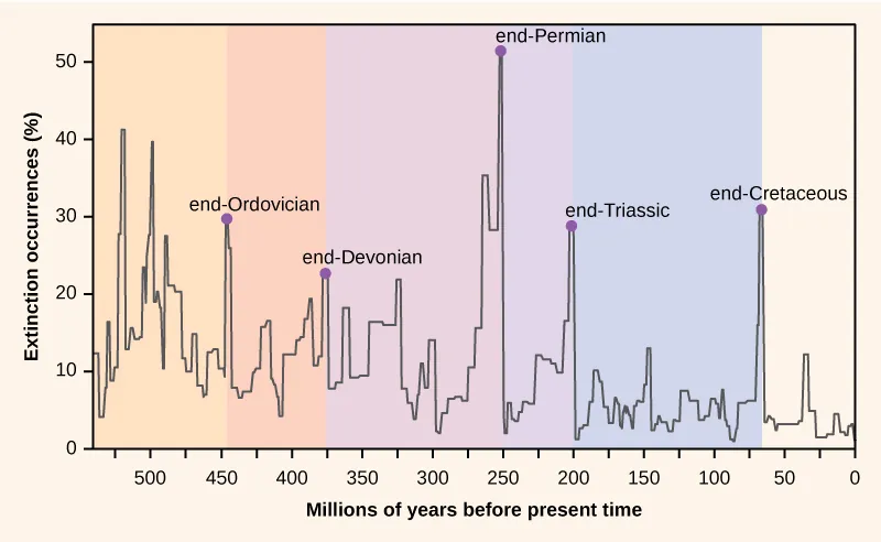 The graph plots percent extinction occurrences versus time in millions of years before present time, starting 550 million years ago. Extinction occurrences increase and decrease in a cyclical manner. At the lowest points on the cycle, extinction occurrences were between 2% and 5% percent. Spikes in the number of extinctions occurred at the end of geological periods: end-Ordovician, 450 million years ago; end-Devonian, 374 million years ago; end-Permian, 252 million years ago; end-Triassic, 200 million years ago; and end-Cretaceous, 65 million years ago. During these spikes, extinction occurrences approximately ranged from 22% to 50%.
