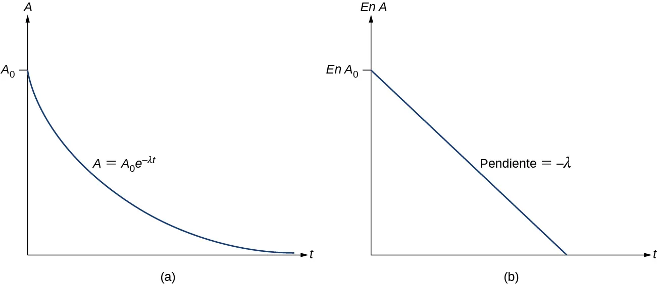 La figura a muestra un gráfico de A en función de t. Comienza en el punto A subíndice 0 y se reduce con el tiempo. La tasa de reducción disminuye lentamente hasta que A está muy cerca de 0, formando una curva en el gráfico. El gráfico está marcado como A = A subíndice 0 e a la potencia menos lambda t. La figura b muestra un gráfico de ln A en función de t. Comienza en ln A subíndice 0 y tiene una pendiente descendente en línea recta. La pendiente de la línea está marcada como menos lambda t.