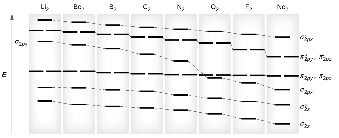 Se muestra un gráfico en el que el eje Y está marcado como "E" y aparece como una flecha vertical hacia arriba. En la parte superior, el gráfico dice: "L i subíndice 2", "B e subíndice 2", "C subíndice 2", "N subíndice 2", "O subíndice 2", "F subíndice 2" y "Ne subíndice 2". Justo debajo de cada uno de estos términos de elementos hay una única línea rosa, y todas las líneas están conectadas entre sí por una línea discontinua, para crear una línea general que disminuye en altura a medida que se mueve de izquierda a derecha a través del gráfico. Esta línea está marcada como "sigma subíndice 2 p x superíndice asterisco". Justo debajo de cada una de estas líneas hay un conjunto de dos líneas rosa, y todas las líneas están conectadas entre sí por una línea discontinua, para crear una línea general que disminuye en altura a medida que se mueve de izquierda a derecha a través del gráfico. Es sistemáticamente inferior a la primera línea. Esta línea está marcada, "pi subíndice 2 p y asterisco superíndice", y, "pi subíndice 2 p z asterisco superíndice" Directamente debajo de cada una de estas líneas dobles hay una sola línea rosa, y todas las líneas están conectadas entre sí por una línea discontinua, para crear una línea general que disminuye en altura a medida que se mueve de izquierda a derecha a través del gráfico. Tiene una gota distintiva en la marca, "O subíndice 2". Esta línea está marcada como "sigma subíndice 2 p x". Directamente debajo de cada una de estas líneas hay un conjunto de dos líneas rosa, y todas las líneas están conectadas entre sí por una línea discontinua para crear una línea general que disminuye muy ligeramente en altura a medida que se mueve de izquierda a derecha a través del gráfico. Es constantemente más bajo que la tercera línea hasta que llega al punto marcado, "O subíndice 2". Esta línea está marcada, "pi subíndice 2 p y", y, "pi subíndice 2 p z". Directamente debajo de cada una de estas líneas hay una única línea azul, y todas las líneas están conectadas entre sí por una línea discontinua para crear una línea general que disminuye en altura a medida que se mueve de izquierda a derecha a través del gráfico. Esta línea está marcada, "sigma subíndice 2 s superíndice asterisco". Por último, justo debajo de cada una de estas líneas hay una única línea azul, y todas las líneas están conectadas entre sí por una línea discontinua para crear una línea general que disminuye en altura a medida que se mueve de izquierda a derecha a través del gráfico. Esta línea está marcada "sigma subíndice 2 s".
