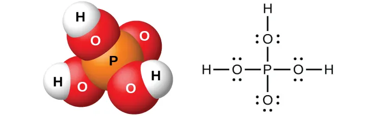 Un modelo de espacio lleno muestra un átomo naranja marcado como "P", enlazado en cuatro lados con átomos rojos marcados como "O". Tres de los átomos rojos están enlazados con átomos blancos marcados como "H". También se muestra una estructura de Lewis en la que un átomo de fósforo tiene enlace simple con cuatro átomos de oxígeno, tres de los cuales tienen dos pares solitarios de electrones y uno de ellos tiene tres pares solitarios de electrones. Los átomos de oxígeno con dos pares solitarios de electrones tienen enlace simple con los átomos de hidrógeno.