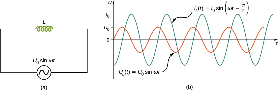 Rysunek a przedstawia obwód ze źródłem napięcia AC połączony z cewką. Źródło oznaczone jest V0 sinus omega t. Rysunek b przedstawia krzywą sinusoidalną napięcia AC i natężenia prądu w tym samym układzie współrzędnych. Napięcie ma mniejszą amplitudę niż natężenie prądu, a jego maksymalna wartość jest oznaczona V0. Maksymalna wartość prądu oznaczona jest I0. Dwie krzywe mają ten sam okres ale są przesunięte w fazie o pi/2. Krzywa napięcia opisana jest V ze znakiem L nawias t nawias równa V0 sinus omega t. Krzywa prądu oznaczona jest I ze znakiem L nawias t nawias równe I0 sinus nawias omega t minus pi przez dwa nawias.