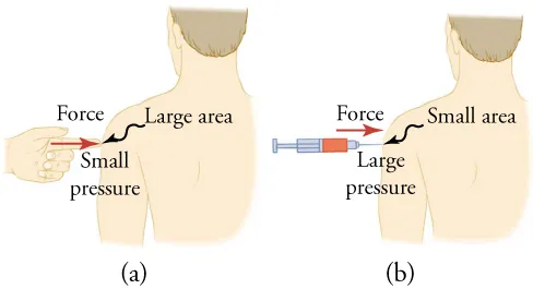 In part (a), a finger pokes a man’s arm. In part (b), a needle pokes a man’s arm with the same force but over a smaller area, resulting in greater pressure.