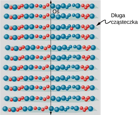 Figura ilustruje stos długich identycznych cząsteczek ułożonych poziomo. Oś pionowa jest narysowana na cząsteczkach.