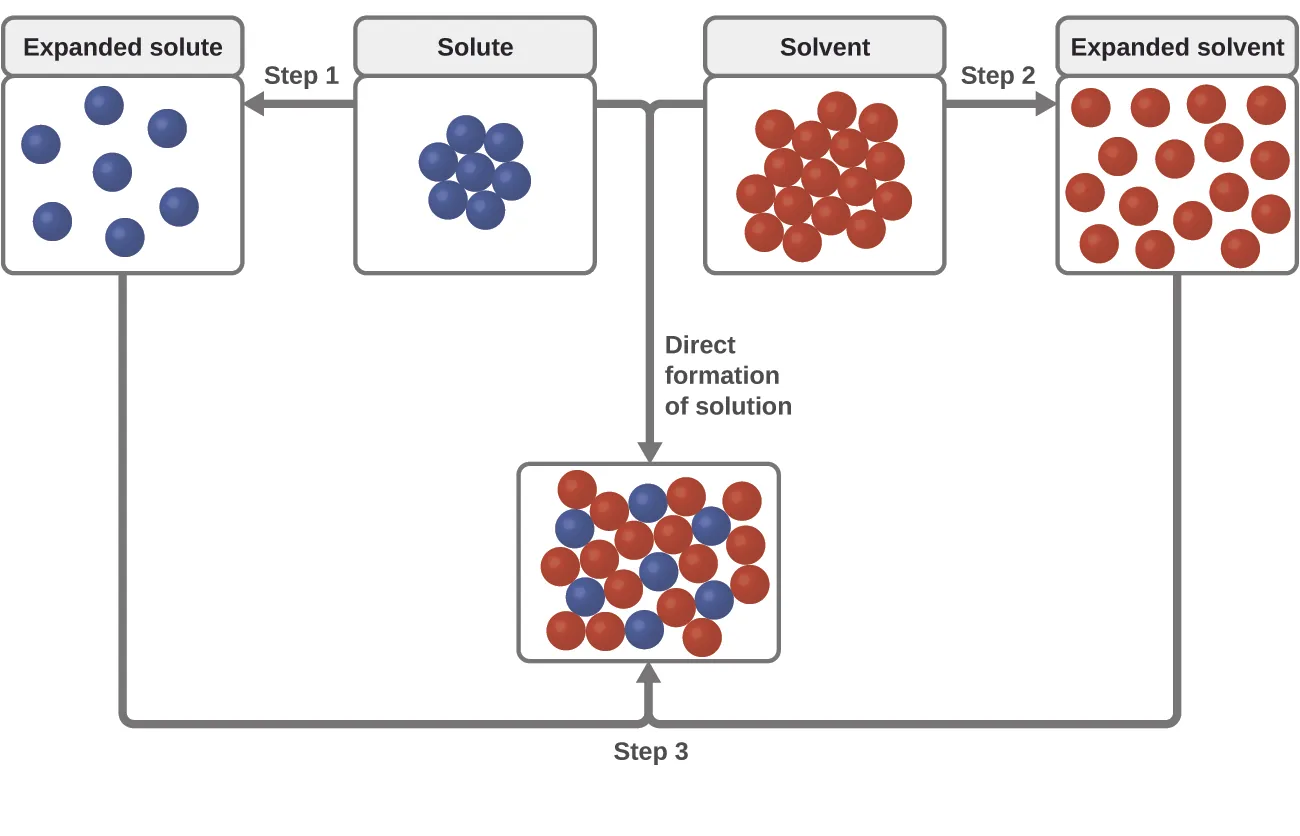 The top, central region of the figure shows solute particles as seven blue spheres and solvent particles as 16 red spheres in separate, labeled boxes. The particles in these boxes are touching. An arrow labeled “Step 1” points left of the solute box, and shows the blue spheres no longer touching in another box labeled “expanded solute.” An arrow labeled “Step 2” points right from the solvent box and shows the red spheres no longer touching in another box labeled “expanded solvent.” Arrows proceed from the bottom of the expanded solute and expanded solvent boxes and join at the bottom of the figure where a step 3 label is shown. The joined arrows point to a box just above in which the red and blue spheres are mixed together and touching. The solute and solvent boxes are joined by another arrow labeled “direct formation of solution” which points downward at the center of the figure. This arrow also points to the box containing mixed red and blue spheres near the bottom of the figure.