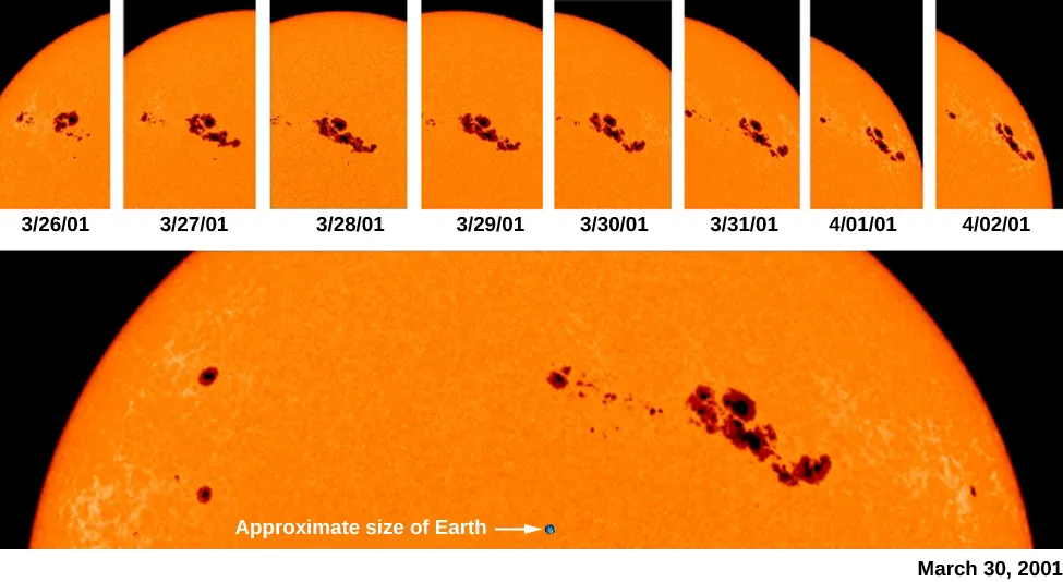 An image of the rotation of sunspots across the sun’s surface. A series of images at the top shows the movement of sunspots over time. A enlarged view of the top portion of the sun is shown at bottom, with a black dot labeled “Approximate size of Earth”.
