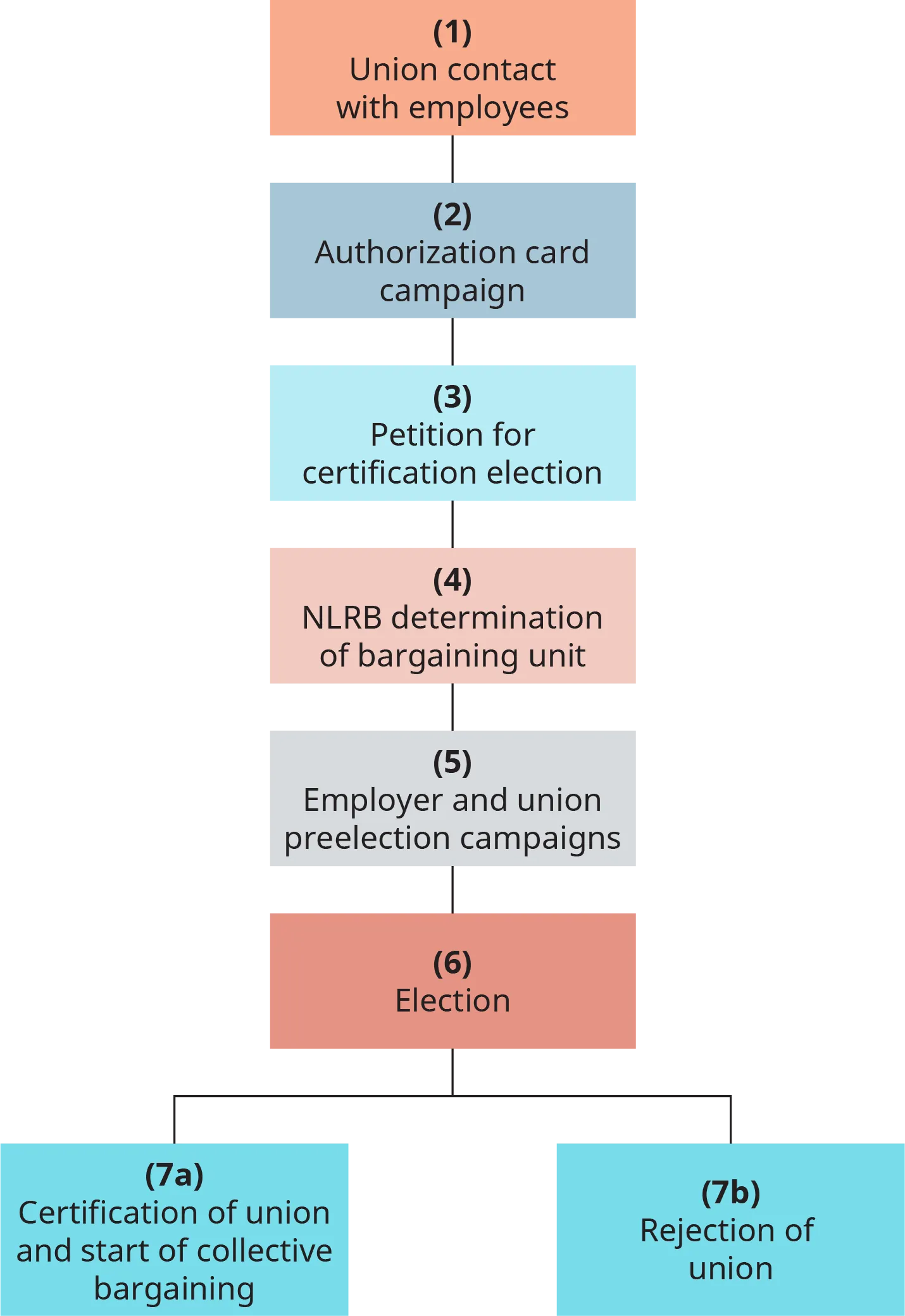 The steps are numbered 1 through 7. 1, union contact with employees. 2, authorization card campaign. 3, petition for certification election. 4, N L R B determination of bargaining unit. 5, employer and union pre election campaigns. 6, election. 7 a, certification of union and start of collective bargaining. 7 b, rejection of union.