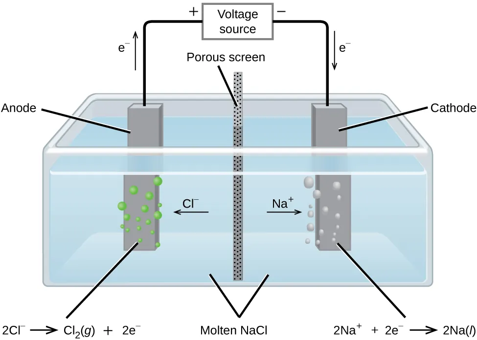 This diagram shows a tank containing a light blue liquid, labeled “Molten N a C l.” A vertical dark grey divider with small, evenly distributed dark dots, labeled “Porous screen” is located at the center of the tank dividing it into two halves. Dark grey bars are positioned at the center of each of the halves of the tank. The bar on the left, which is labeled “Anode” has green bubbles originating from it. The bar on the right which is labeled “Cathode” has light grey bubbles originating from it. An arrow points left from the center of the tank toward the anode, which is labeled “C l superscript negative.” An arrow points right from the center of the tank toward the cathode, which is labeled “N a superscript plus.” A line extends from the tops of the anode and cathode to a rectangle centrally placed above the tank which is labeled “Voltage source.” An arrow extends upward above the anode to the left of the line which is labeled “e superscript negative.” A plus symbol is located to the left of the voltage source and a negative sign it located to its right. An arrow points downward along the line segment leading to the cathode. This arrow is labeled “e superscript negative.” The left side of below the diagram is the label “2 C l superscript negative right pointing arrow C l subscript 2 ( g ) plus 2 e superscript negative.” At the right, below the diagram is the label “2 N a superscript plus plus 2 e superscript negative right pointing arrow 2 N a ( l ).”
