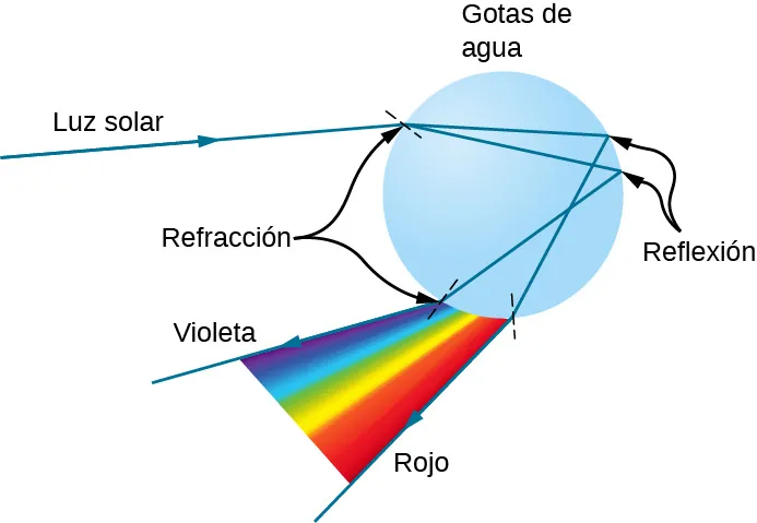 La luz del sol que incide en una gota de agua esférica se refracta en varios ángulos. Los rayos refractados sufren, además, una reflexión interna total y se refractan de nuevo cuando salen de la gota de agua. Como consecuencia, la luz que sale forma una secuencia de colores que van del violeta al rojo. La luz que sale está en el mismo lado de la gota que la luz solar que incide.