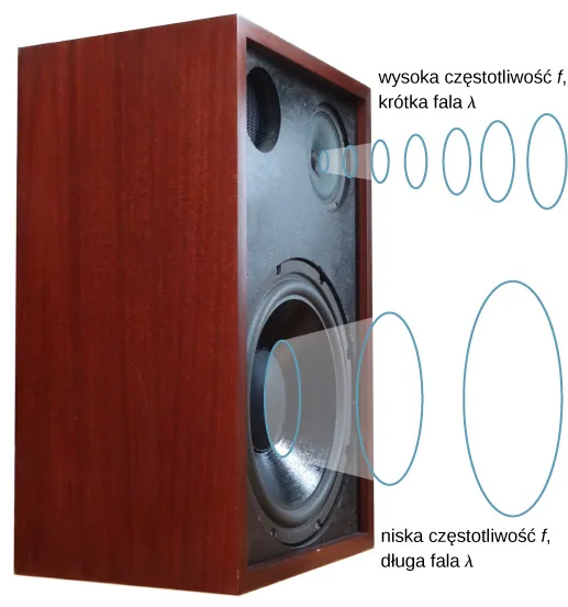 Rysunek przedstawia schematycznie system głośnikowy emitujący fale dźwiękowe. Dźwięki o niższej częstotliwości są emitowane przez dolny duży głośnik; Dźwięki o wyższej częstotliwości są emitowane przez górny mały głośnik.