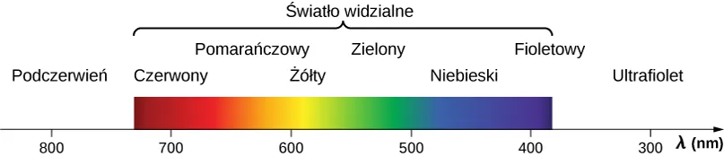 Rysunek przedstawia zakres długości fali w nanometrach na osi x. Zakres długości 800 nm jest oznaczony jako podczerwony. Zakres światła widzialnego ma od czerwonego 700 nm do fioletowego 400 nm. Pomiędzy nimi widoczna jest tęcza. Ultrafiolet jest w zakresie 300 nm. 