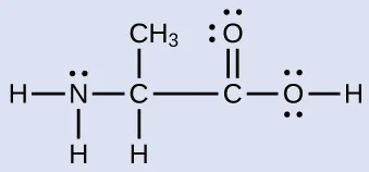 Una estructura de Lewis representa un átomo de nitrógeno con dos pares solitarios de electrones que está unido con enlace simple a dos átomos de hidrógeno y a un átomo de carbono, que a su vez está unido con enlace simple a un átomo de hidrógeno, a un grupo metilo y a otro átomo de carbono. Este átomo de carbono tiene un enlace simple con un átomo de oxígeno con dos pares solitarios de electrones y un enlace simple con un oxígeno que tiene dos pares solitarios de electrones y un enlace simple con un átomo de hidrógeno.