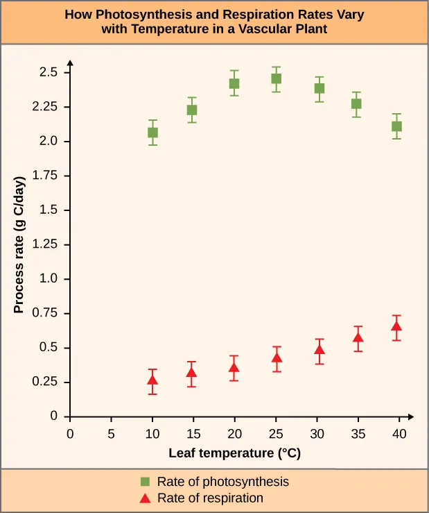 Chart is titled “How Photosynthesis and Respiration Rates Vary with Temperature in a Vascular Plant”. The chart measures the Process Rate (g C/day) against the leaf temperature (degrees Celsius). The rate of photosynthesis and the rate of respiration is measured. The rate of photosynthesis shows the following measurements. Leaf temperature 10, process rate of around 2-2.15. Leaf temperature 15, process rate 2.15-2.3. Leaf temperature 20, process rate 2.3-2.5. Leaf temperature 25, process rate 2.3-2.5. Leaf temperature 30, process rate 2.25-2.4. Leaf temperature 35, process rate 2.15-2.3. Leaf temperature 40, process rate 2-2.2. The rate of respiration shows the following measurements. Leaf temperature 10, process rate .2-.3. Leaf temperature 15, process rate .25-.4. Leaf temperature 20, process rate .3-.5. Leaf temperature 25, process rate .35-.55. Leaf temperature 30, process rate .4-.6. Leaf temperature 35, process rate .45-.7. Leaf temperature 40, process rate .5-.75.