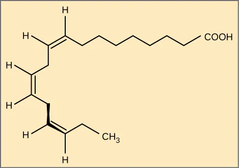 The molecular structures of alpha-linolenic acid, an omega-3 fatty acid is shown. Alpha-linolenic acid has three double bonds located eight, eleven, and fourteen residues from the acetyl group. It has a hooked shape.