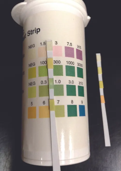 A thin strip with 4 colored regions. Each region matches a set of colors on a container. Each different color indicates a different measurement for a particular test.
