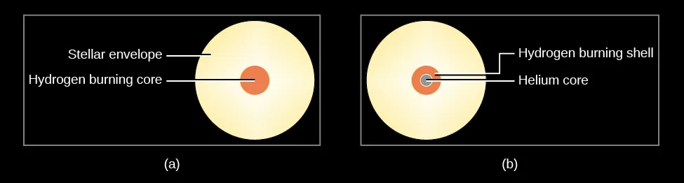 Stellar Structure During and After the Main Sequence. In (a), on the left, the “Hydrogen burning core” is shown as a small disk within a larger, yellow disk depicting the non-fusion “Stellar envelope.” In (b), on the right, the “Helium core” is drawn as a smaller disk within a larger disk labeled, “Hydrogen burning shell.” These are within a larger “Stellar envelope,” which is drawn in yellow.