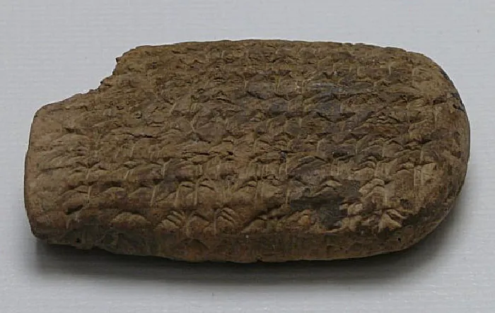 A picture of a dark brown oval stone is shown. A piece is missing from the top left and etchings are seen all over the stone.