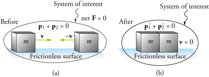 An illustration shows before and after diagrams of two boxes moving toward each other on a frictionless surface. Both boxes are labeled m. Both diagrams are labeled System of Interest. In the before diagram, a velocity vector, v, points from the left box to the right box. A second vector of equal magnitude, negative v, points from right box toward the left box. Two equations are shown: p one plus p two equals zero and net F equals zero. In the after diagram, the boxes are touching. The equations p one prime plus p two prime equals zero and v equals zero are shown.