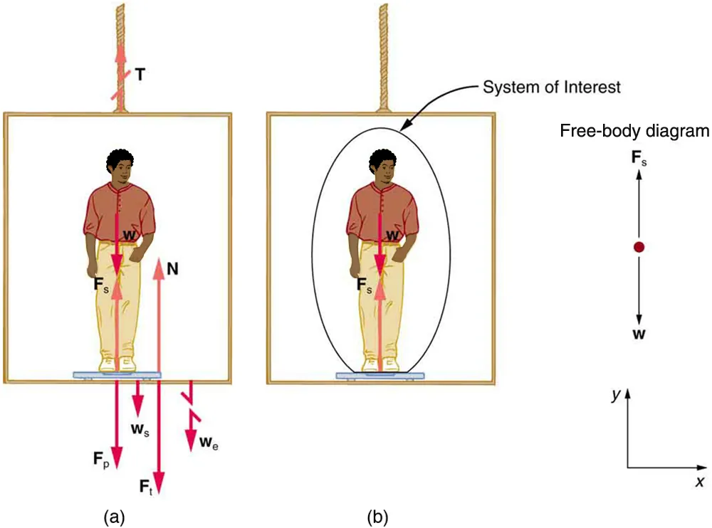 A person is standing on a bathroom scale in an elevator. His weight w is shown by an arrow pointing downward. F sub s is the force of the scale on the person, shown by a vector starting from his feet pointing vertically upward. W sub s is the weight of the scale pointing vertically downward. W sub e is the weight of the elevator, shown by the broken arrow pointing vertically downward. F sub p is the force of the person on the scale, acting vertically downward. F sub t is the force of the scale on the floor of the elevator, pointing vertically downward, and N is the normal force of the floor on the scale, pointing upward. (b) The same person is shown on the scale in the elevator, but only a few forces are shown acting on the person, which is our system of interest. W is shown by an arrow acting downward, and F sub s is the force of the scale on the person, shown by a vector starting from his feet pointing vertically upward. The free-body diagram is also shown, with two forces acting on a point. F sub s acts vertically upward, and w acts vertically downward.