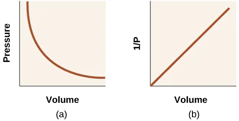 This diagram shows two graphs. In a, a graph is shown with volume on the horizontal axis and pressure on the vertical axis. A curved line is shown on the graph showing a decreasing trend with a decreasing rate of change. In b, a graph is shown with volume on the horizontal axis and one divided by pressure on the vertical axis. A line segment, beginning at the origin of the graph, shows a positive, linear trend.