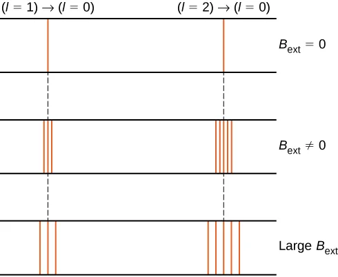 The figure shows the effect of magnetic field, B sub ext, on two different spectral lines, corresponding to the l=1 to l=0 transition on the left and the l=2 to l=0 transition on the right. The spectra are shown for no external field, for a non zero external field and for a large external field. With no external field, both transitions appear as single lines. In the second case, when magnetic field is applied, the spectral lines split into several lines; the line on the left splits into three lines. The line on the right splits into five. In the third case, the magnetic field is large. The left line is again split into three lines and the right into five, but the split lines are farther apart than they are when the external magnetic field is not as strong.