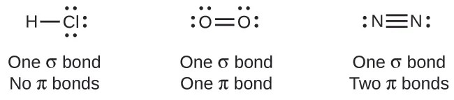 A diagram contains three Lewis structures. The left most structure shows an H atom bonded to a C l atom by a single bond. The C l atom has three lone pairs of electrons. The phrase “One sigma bond No pi bonds” is written below the drawing. The center structure shows two O atoms bonded by a double bond. The O atoms each have two lone pairs of electrons. The phrase “One sigma bond One pi bond” is written below the drawing. The right most structure shows two N atoms bonded by a triple bond. Each N atom has a lone pairs of electrons. The phrase “One sigma bond Two pi bonds” is written below the drawing.