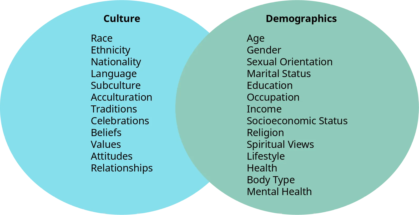 Diversity marketing dimensions are divided into two categories: culture and demographics. Included in culture are race, ethnicity, nationality, language, subculture, acculturation, traditions, celebrations, beliefs, values, attitudes, and relationships. Included within demographics are age, gender, sexual orientation, marital status, education, occupation, income, socioeconomic status, religion, spiritual views, lifestyle, health, body type, and mental health.